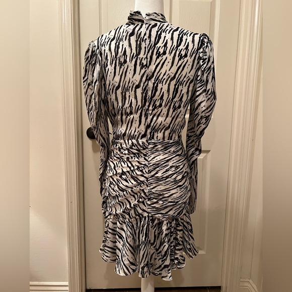 Zebra patterned Dress - Picture 9 of 9